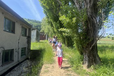 Obrázek č.80