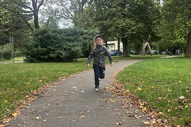 Obrázek č.65