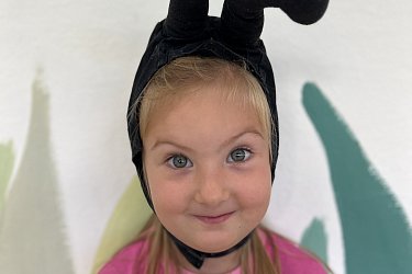 Obrázek č.18