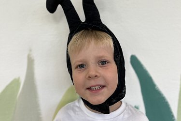 Obrázek č.19