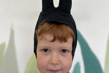 Obrázek č.21
