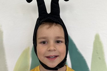 Obrázek č.27