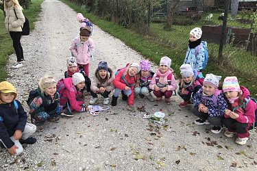 Obrázek č.67