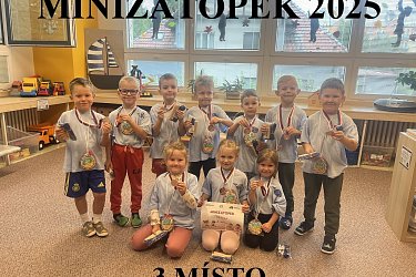 Obrázek č.49