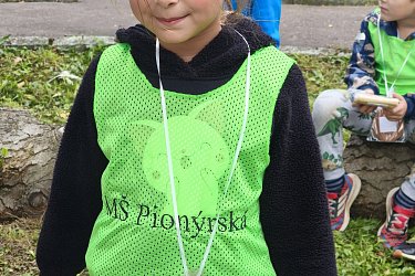 Obrázek č.19