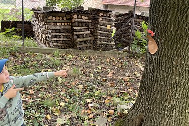 Obrázek č.35