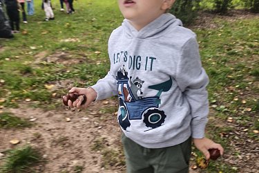 Obrázek č.96