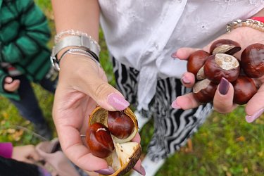 Obrázek č.86