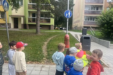 Obrázek č.130