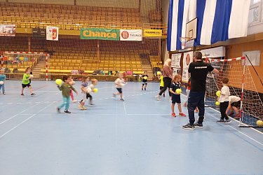 Obrázek č.29