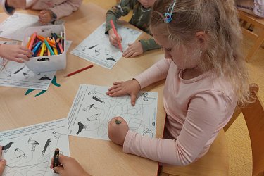 Obrázek č.43