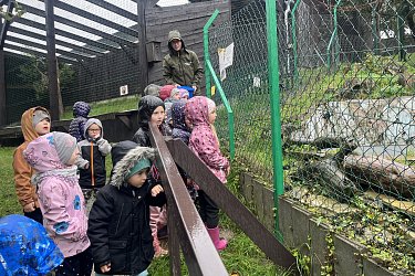Obrázek č.14