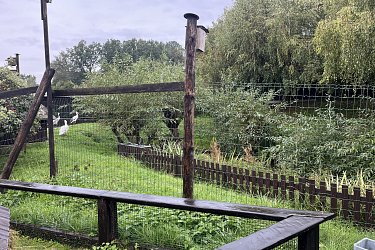 Obrázek č.24
