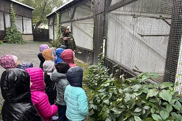 Obrázek č.6