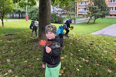 Obrázek č.27