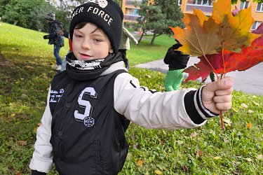 Obrázek č.49