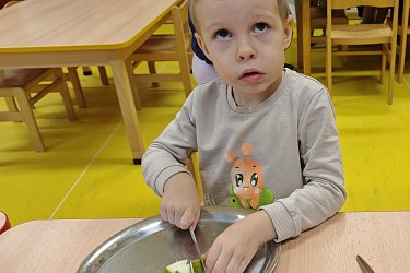 Obrázek č.19