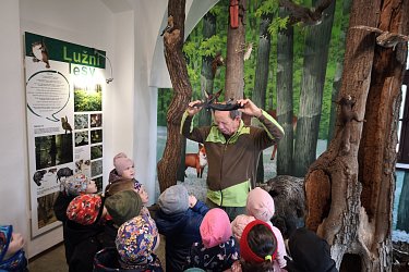 Obrázek č.37
