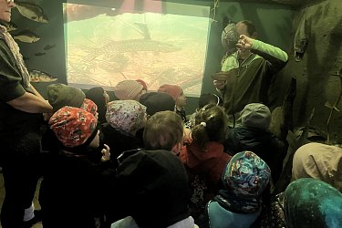 Obrázek č.27