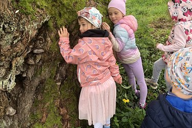 Včelky - dobrodružství venku