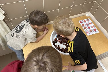 Obrázek č.15