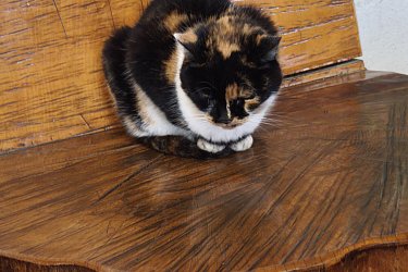 Výlet do Zoo Ostrava - podzimní zoo