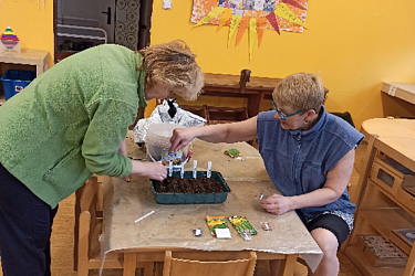 Pěstování Microgreens po uzavření MŠ – Výzva pro děti a rodiče
