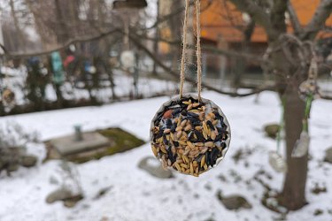 Ptáčci v&nbsp;zimě-Námořníci