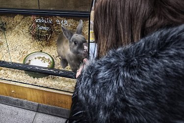 Návštěva zverimexu