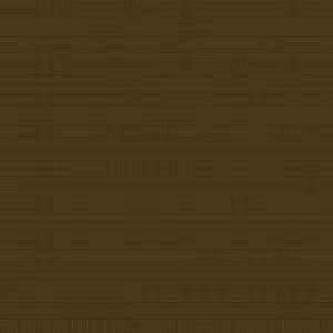 Nikola Ciroková, DiS.