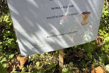 Obrázek č.99