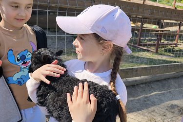 Obrázek č.86