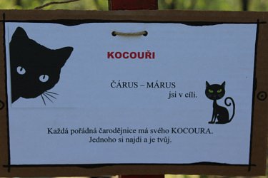 Obrázek č.11