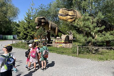 Obrázek č.10