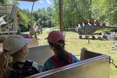 Obrázek č.48