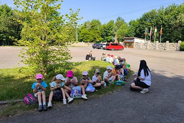 Obrázek č.81