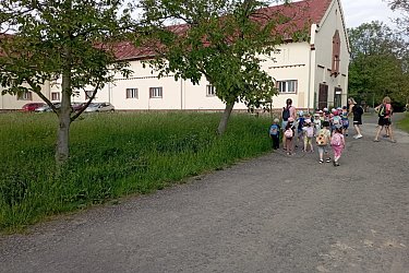 Obrázek č.304