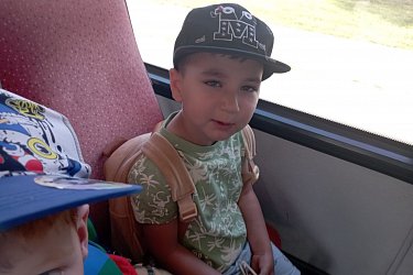 Obrázek č.299