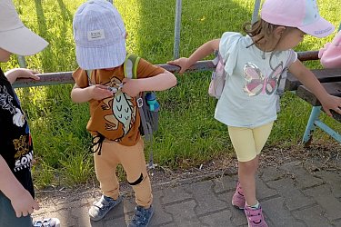Obrázek č.311