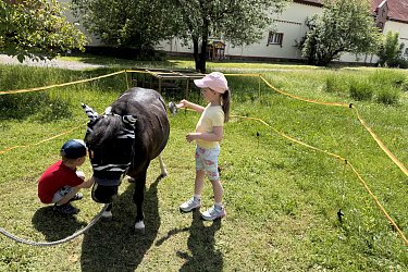 Obrázek č.121