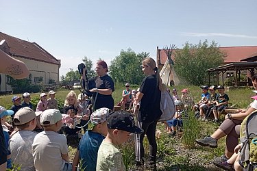 Obrázek č.277