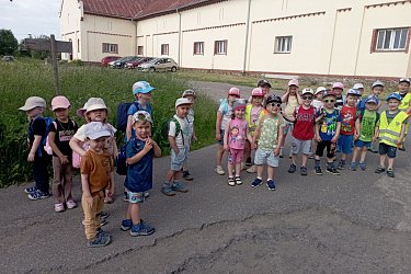 Obrázek č.306