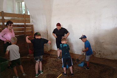 Obrázek č.146