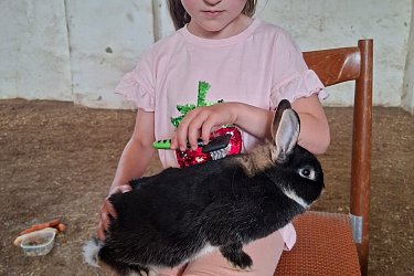 Obrázek č.42