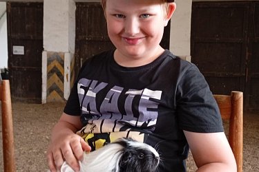 Obrázek č.158