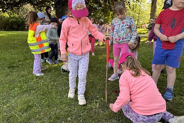 Obrázek č.53