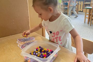 Obrázek č.38
