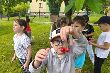 Obrázek č.90