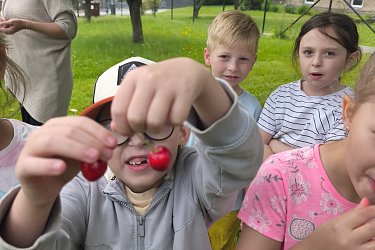 Obrázek č.94