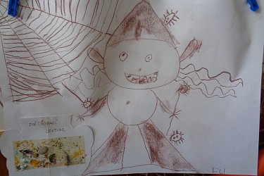 Obrázek č.1